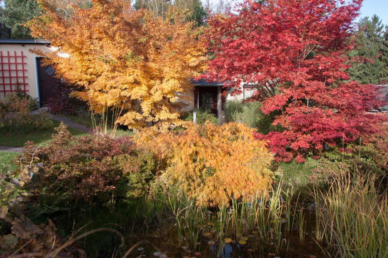 Am Waldsaum