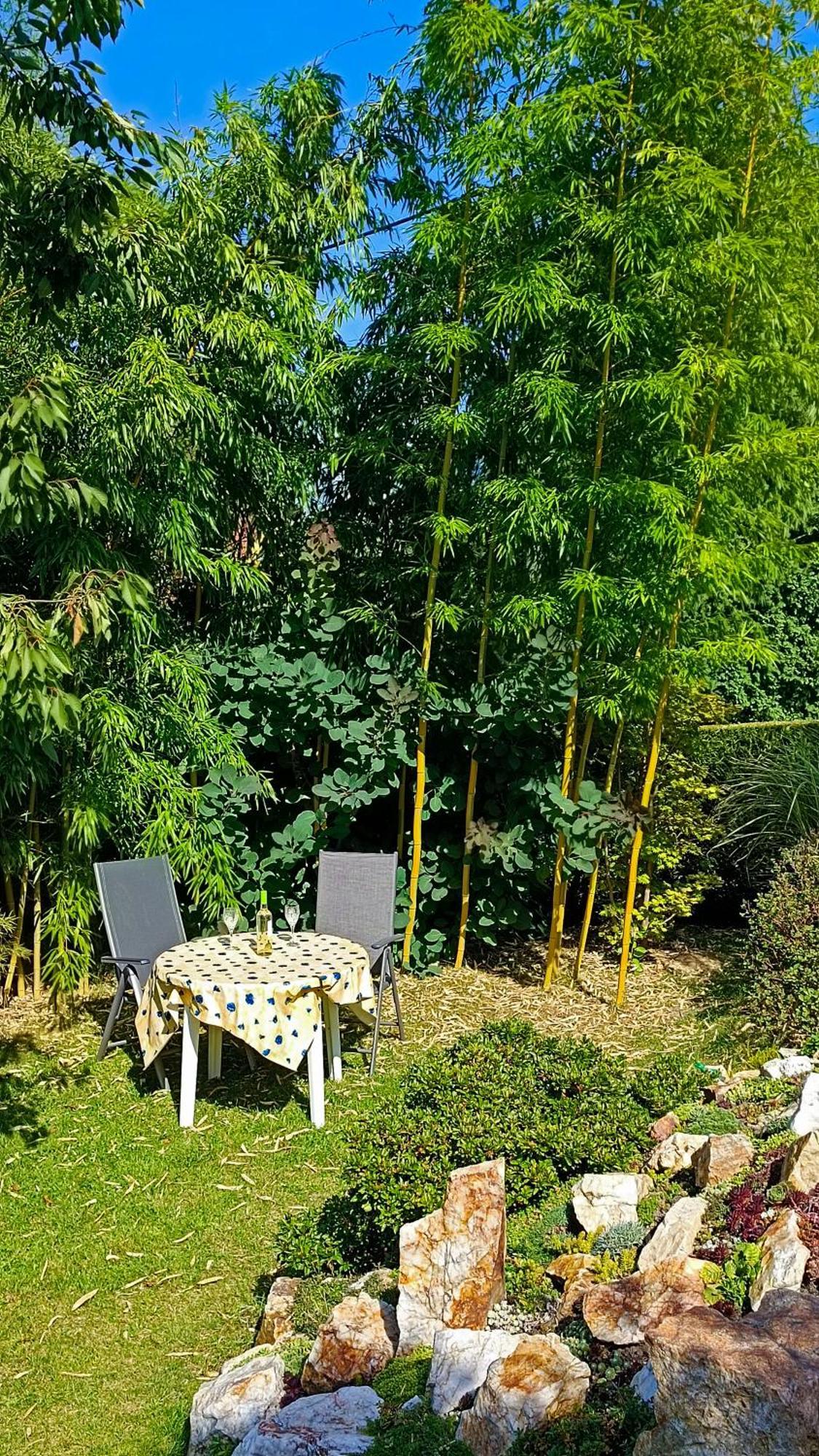 Apartment Und 